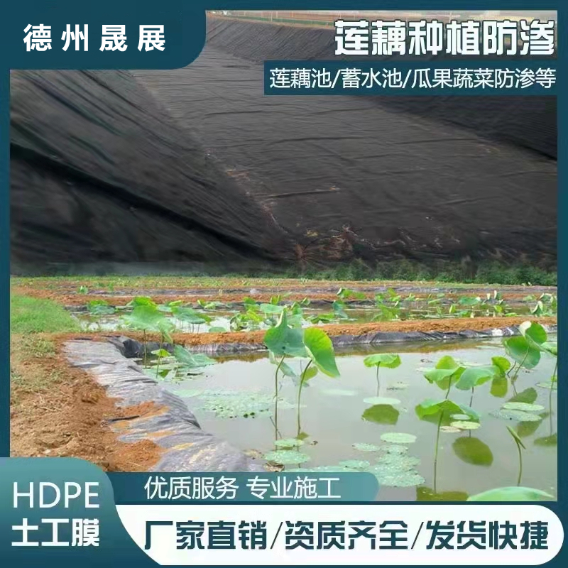 養殖防滲膜鋪出一片新天地